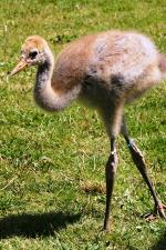 White Blue Black - 12th June 2014 White Blue Black - 12th June 2014